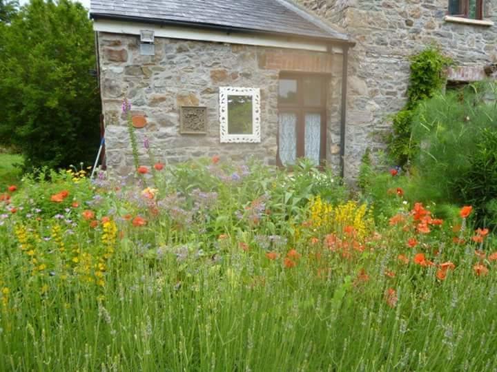 Kidwelly Middle Mill Bed & Breakfast エクステリア 写真